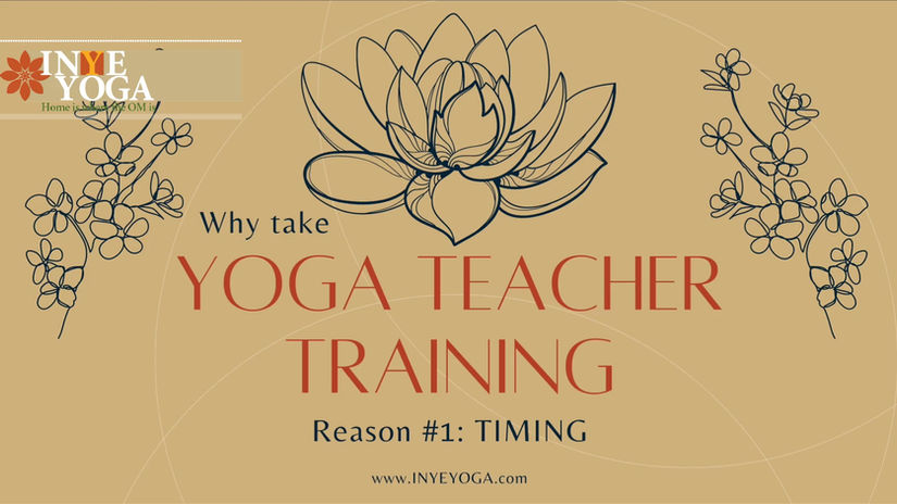 Reasons to take YTT